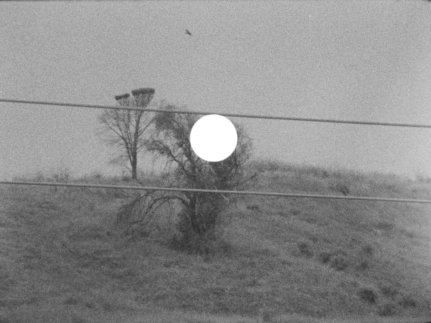 I Carry the Universe With Me