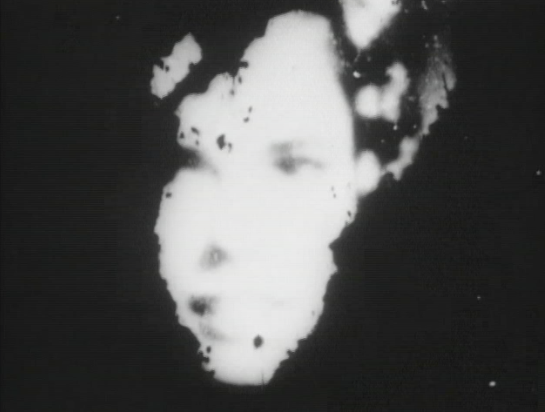 ex